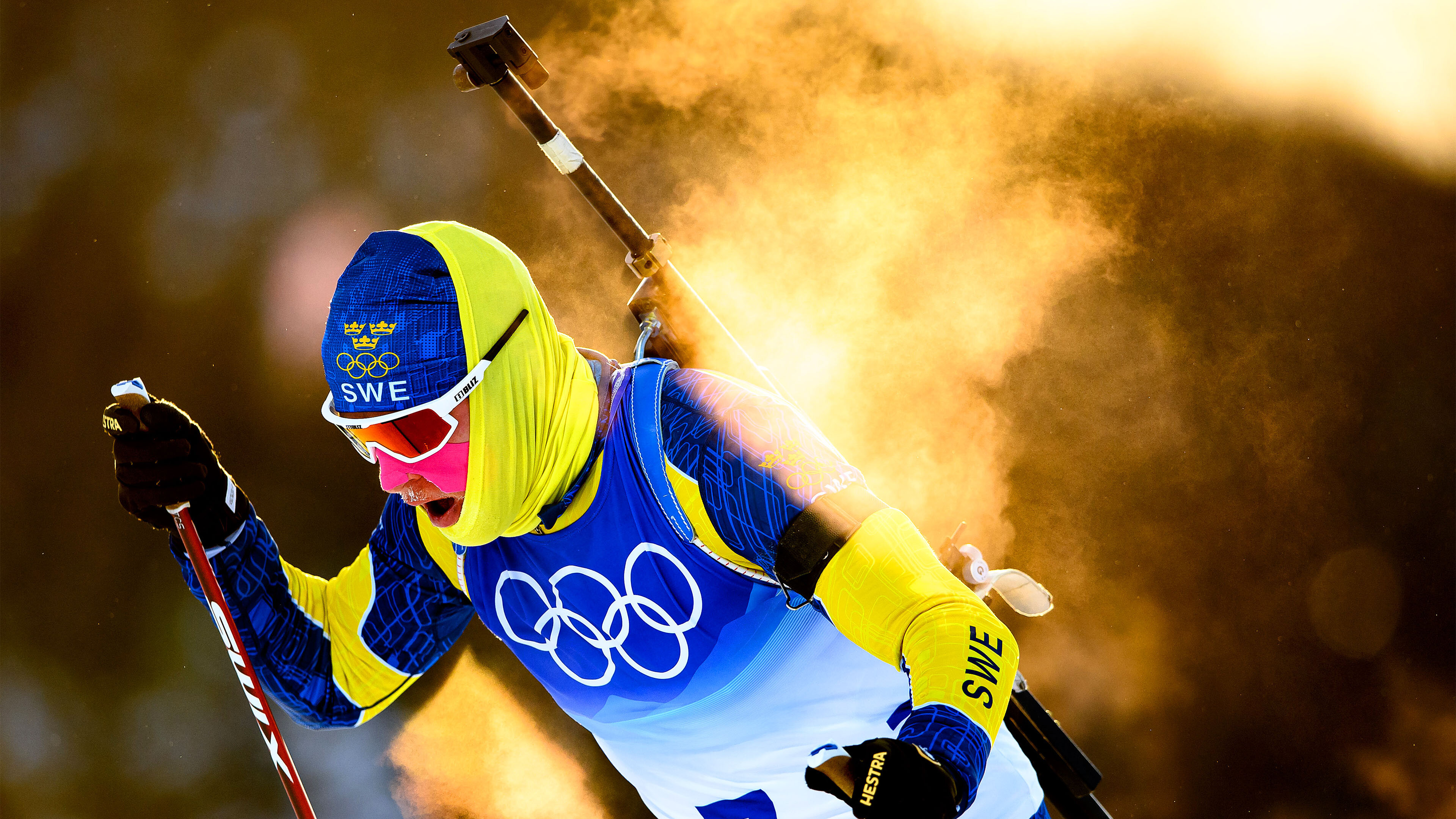 Skidskytte: Distans herrar